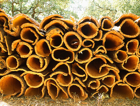 Bark från kork ek, Portugal