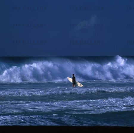 Surfare Hawaii, USA