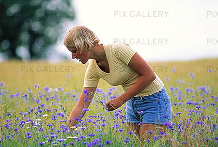 Woman picking flowers