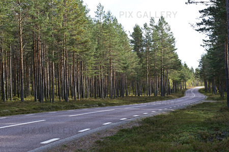 Landsväg i Gästrikland