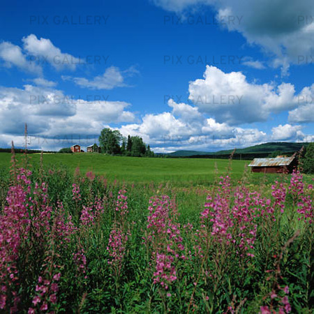 Agricultural Landscapes in Hälsingland
