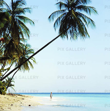 Woman in palm beach