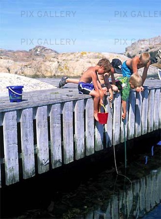 Children catching crabs