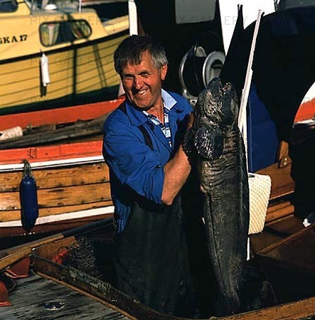 Fishermen with large fish