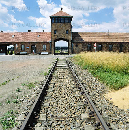 Koncentrationslägret Auschwitz, Polen