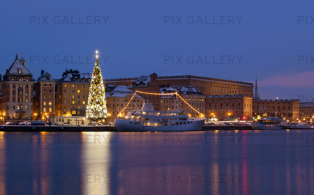 Stockholm's Old City with Christmas tree