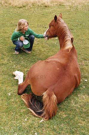 Flicka vid liggande häst