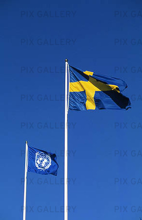 FN-flaggan och Svenska flaggan