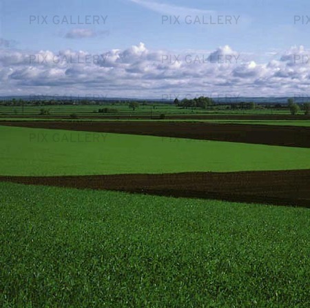 Agricultural Landscapes