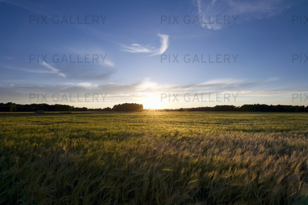 Bild P Solnedg ng ver S desf lt EFT9AG Royaltyfritt Foto 