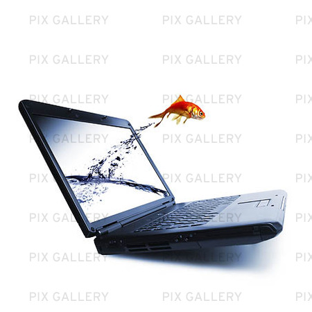 Guldfisk som hoppar ur laptop