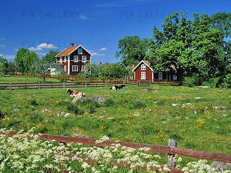 Countryside, Småland