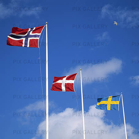 Norska, danska och svenska flaggan