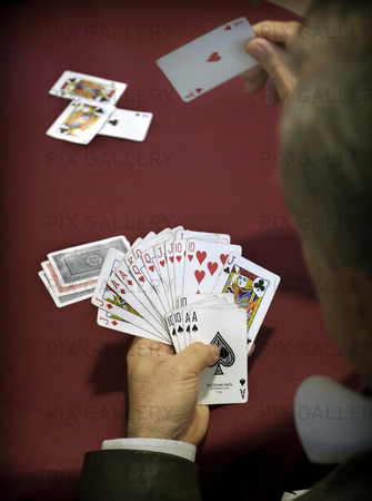 Kortspel
