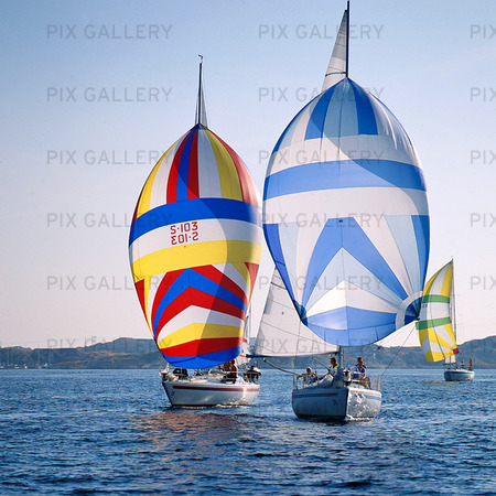 Sailboats with spinnaker