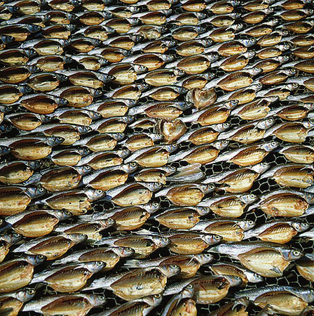Dried fish, Thailand