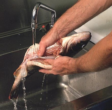 Rensning av fisk