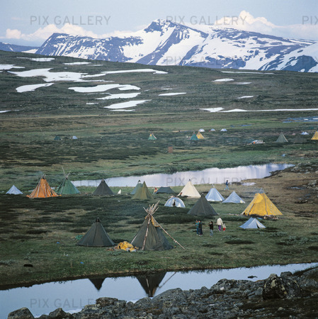 Tältläger vid renskötsel, Lappland