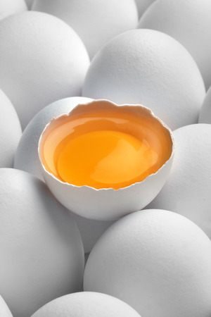Close up photo of white eggs in a raw