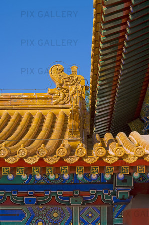 Roof Detail. Forbidden City. 
Beijing. P.R. of China