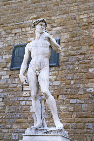 David staty av Michelangelo i Florens, Italien