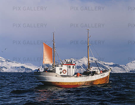 Fishing boat in Lofoten, Norway