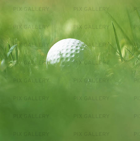 Golf ball in the rough