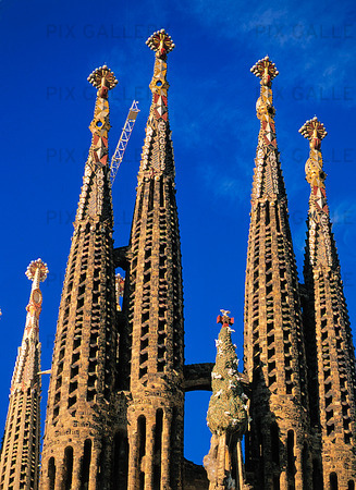 Katedral i Barcelona, Spaniern