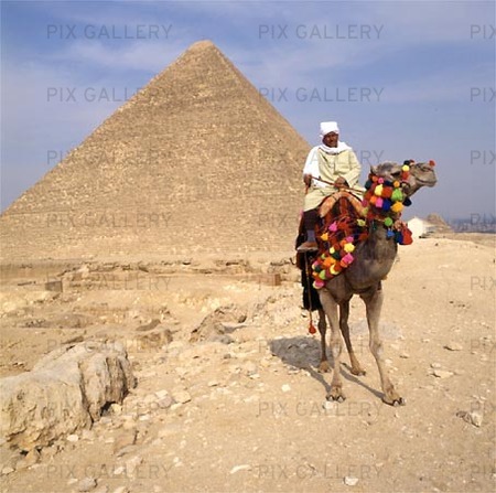 Ryttare vid Cheops pyramiden, Egypten