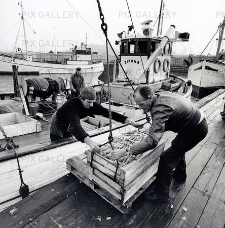 Göteborgs fiskhamn, 1960-talet