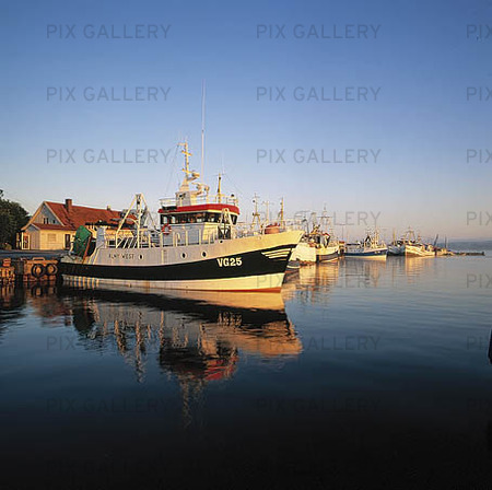 Fiskebåtar i hamn, Halland