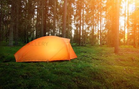 Camping i skogen