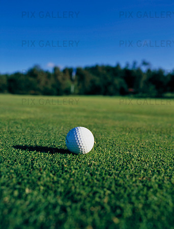 Golfboll på golfbana