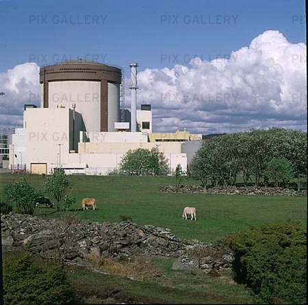 Ringhals kärnkraftverk, Halland