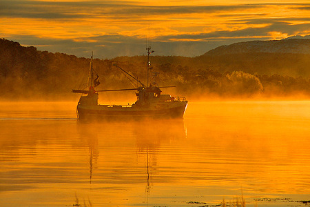 Fiskebåt i Tysfjord, Nordnorge