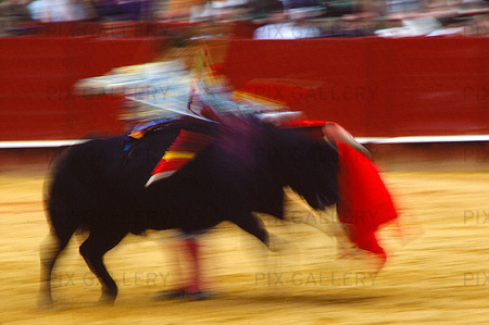 Bullfight, Spain