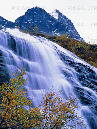 Fluafallet i Innerdalen, Norge
