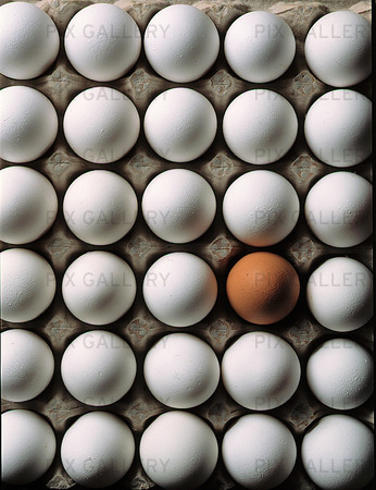 Vita ägg och ett brunt ägg