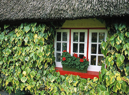 Fönster i Irland