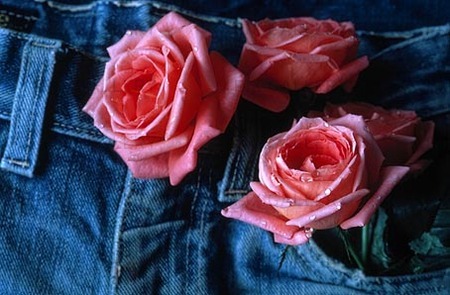 Rosor på jeans