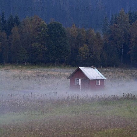 Red Cabin in the fog