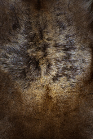 fur texture wallpaper