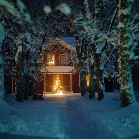 Vinterhus med julgran