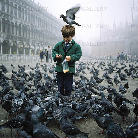 Pojke på Markusplatsen i Venedig, Italien