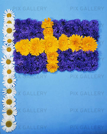 Svenska Flaggan av blommor