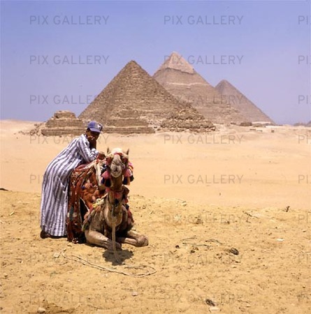 Pyramids in Giza, Egypt