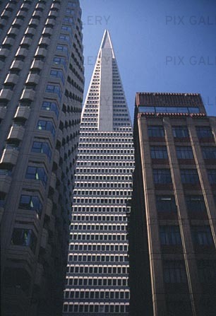 Trans-America Pyramid in San Francisco