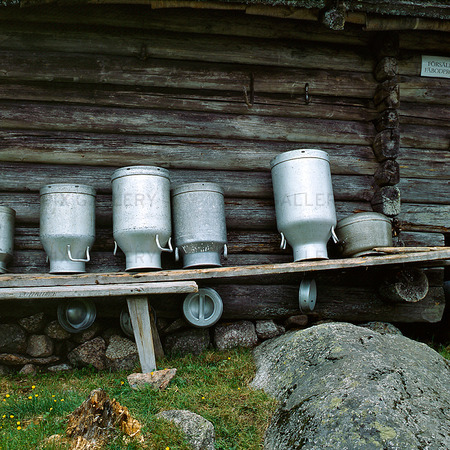 Mjölkkannor vid fäbod i Dalarna