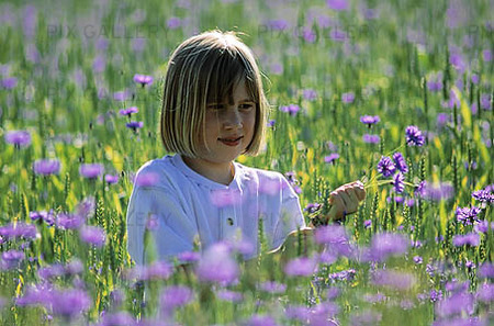 Girl on the meadow