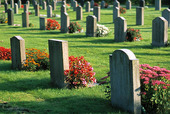 Kyrkogård